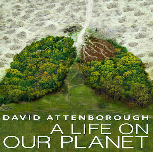 <span class=''>A Life on Our Planet</span>